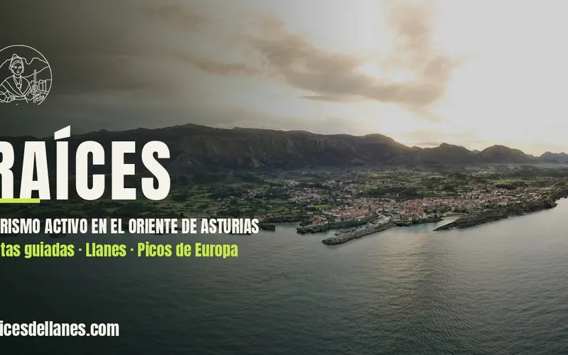 Web Rutas Raíces